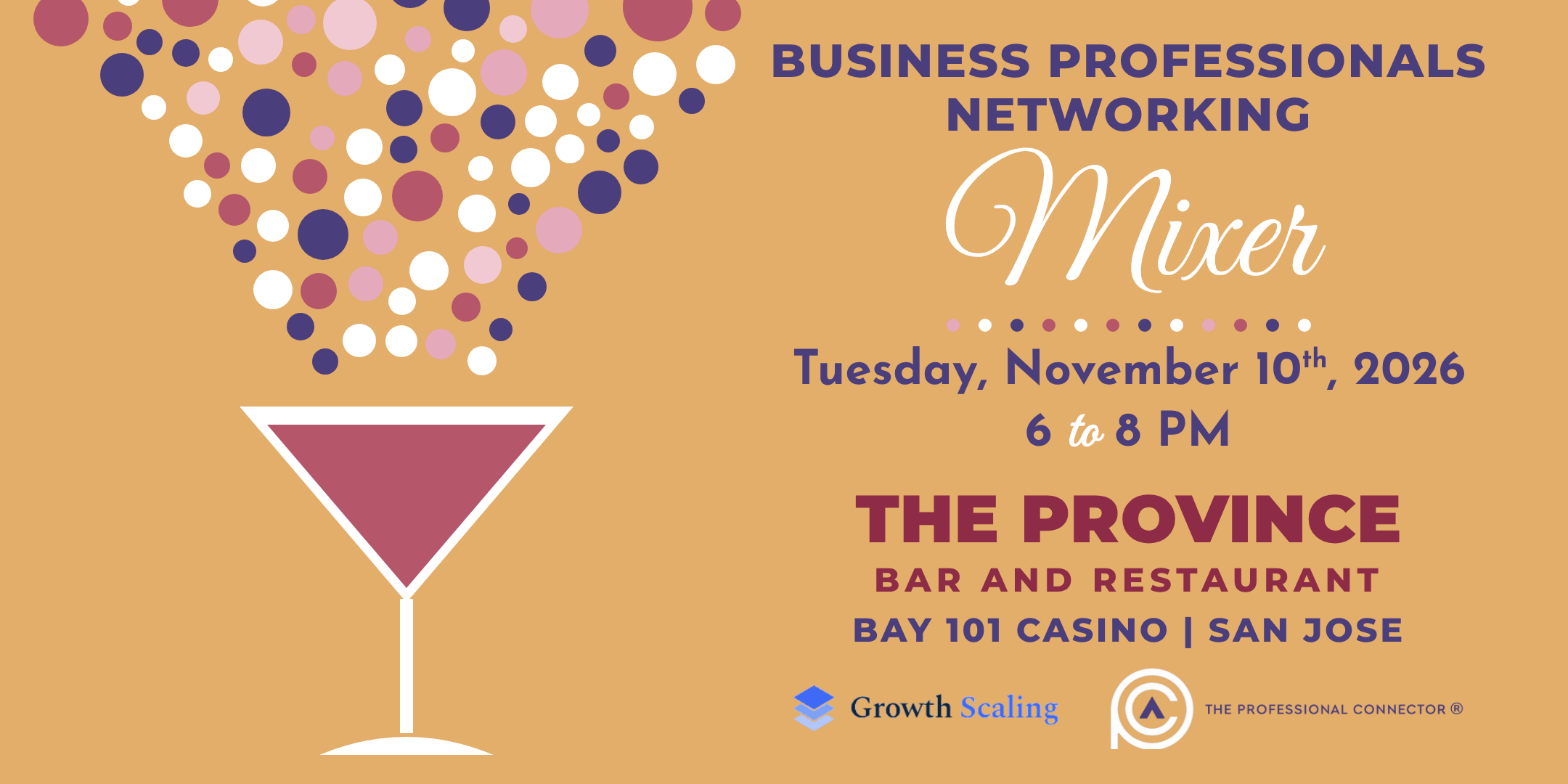 Business Professionals Networking Mixer at The Province San Jose | November 10, 2026